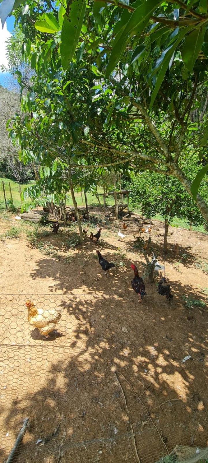 Villa Sitio Saramandaia Juquitiba Esterno foto